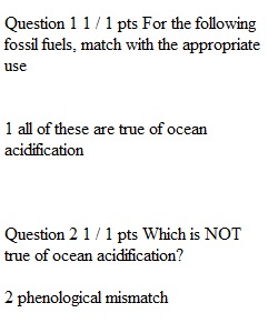 Chapter 10 Quiz